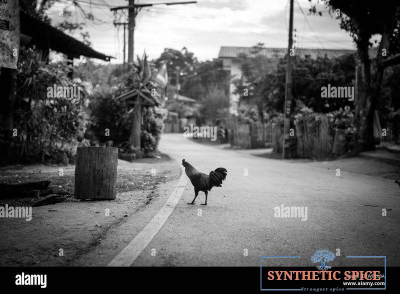 Chicken road 2 juego in Spain