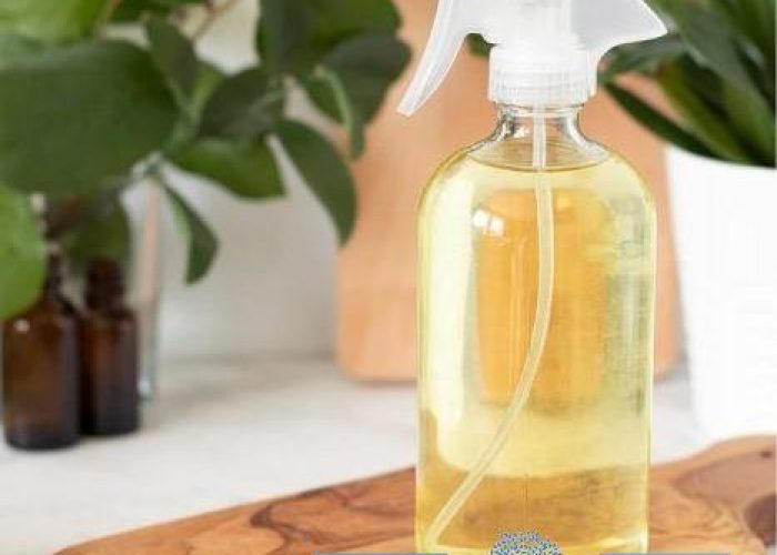 0ca6d62e6335f8fa3eb9deedc29de095